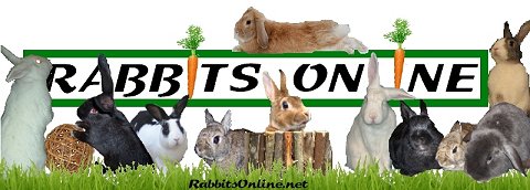 rabbitsonline.net