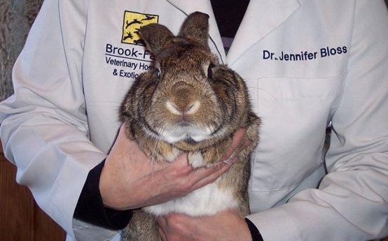 Ps3 jar of hearts free nl boots for fifa 12 ps3 free boots for fifa 11